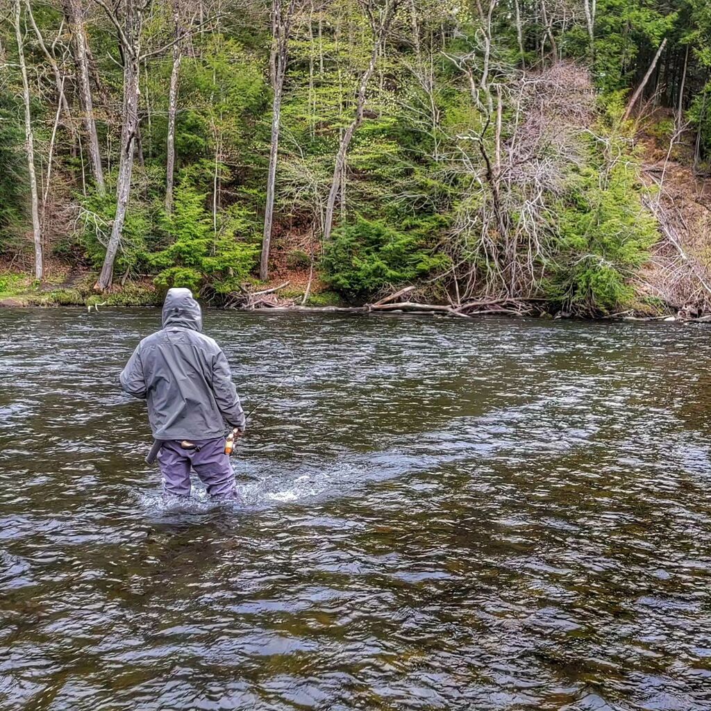 PaulsGuide's tweet photo. And it's a wrap. I just want to thank all my clients that fished with me this year.  I'm looking forward to seeing you next season and some of you in a few weeks for some trout trips.

#dsrguide #paulsguideservice #salmonriverflyfishingguide #spey #pulas… https://t.co/UFTfv1shCJ https://t.co/YCcDwBc5Bc
