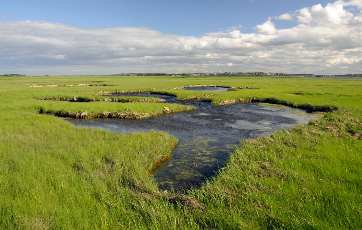 USFWSNortheast tweet picture