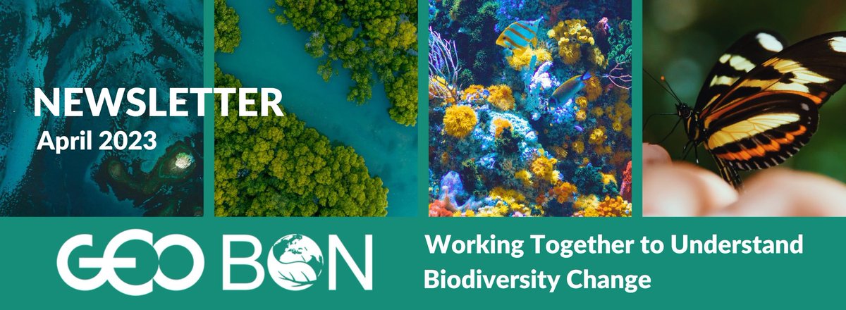 GEOBON_org's tweet photo. 📢 Check out our latest NEWSLETTER with updates from the @GEOBON_org secretariat and our network, upcoming events &amp; exciting opportunities!

📰👉https://t.co/VwThIE94Sx

Register as a GEO BON member and join our global network 👉 https://t.co/OTlUtWVl3R

#GEOBON #BiodiversityNews https://t.co/fYNJnSBYqS