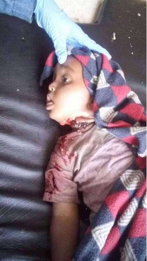 Waltenigus3's tweet photo. @NatnaelMekonne7 @AbiyAhmedAli አማራ የሆነ እና የአማራ ወጣት የሜታገለው ልጆቹ እንዲህ እየታረዱ ስለሆነ ነው።።። አንተ ግን ምን አይነት የሰው ስጋ በልተህ በሰው ደም የምታወራርድ አሳማነህ ምናለ ዘገባህን ሜዛናዌ ብታደረገው? በቤተሰብህ ደርሶ እየው። https://t.co/xsh6iZQCkv