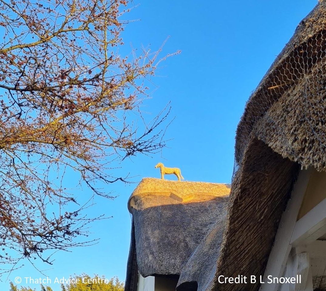 ThatchAdvice's tweet photo. #FirstFriday #FinialFun in Anticipation of the #Coronation and there being plenty of #horses about!
Its also @bhorsetrials weekend. Have a great time whatever you are doing folks.
Thanks to B L Snoxell for these great pics. https://t.co/Yu85EOJuX9 https://t.co/UMjPD3emY0