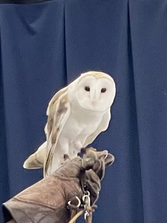 Rebecca Campbell, NBCT tweet media