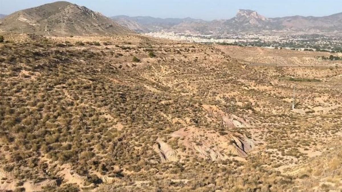 pkas1111's tweet photo. Alicante. Fuerte desertificación, como pasa en una parte importante de España. Un proceso que avanza imparable. O forestamos la España en proceso de desertificación para retener el suelo, aportarle sombra y reducir su evapotranspiración, o lo siguiente será la sabana Africana. https://t.co/LI6GVtuIPn
