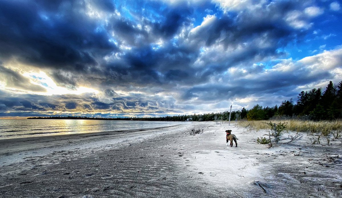 Manitoulin Media (@manitoulinmedia) on Twitter photo 