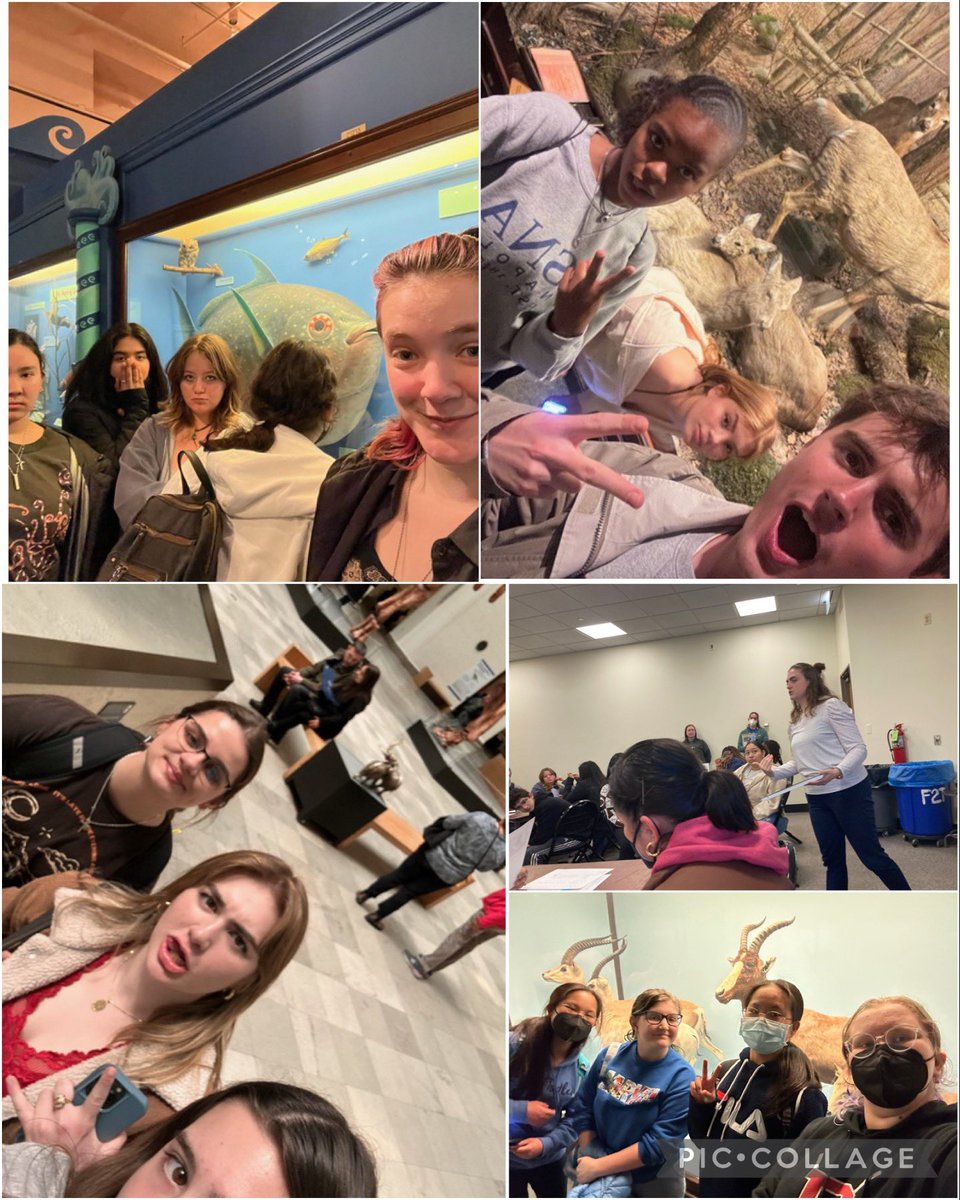 DHSLibrary1's tweet photo. Fantastic Field Museum Field Trip!  Special thanks to Principal @DHS_Anderson for joining us!  Thanks Ms. Brown ✨We love our Library Friends ♥️ @FieldMuseum https://t.co/Yh9kTUP33d