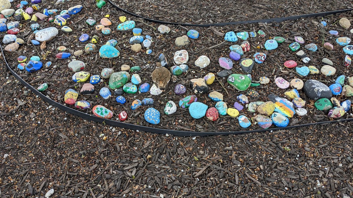 penglishSTEM's tweet image. There's babies at Ryan! #GLCSRyan