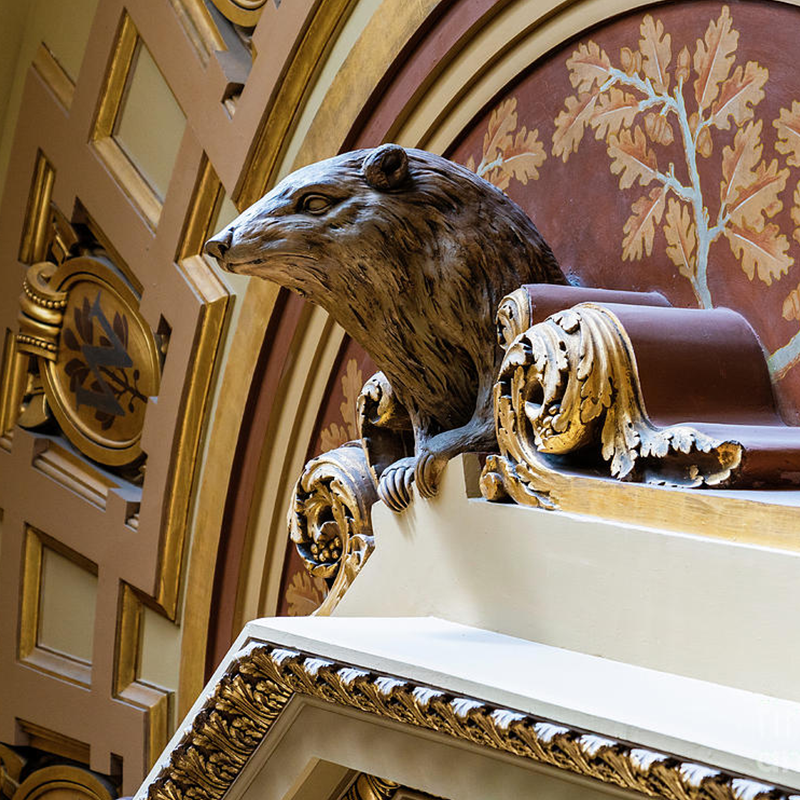 RyanPadgham's tweet photo. Polite badgers adorn the Wisconsin capitol building. Reply 'taargus taargus' to unsubscribe from badger facts. https://t.co/oo0nebTaOt