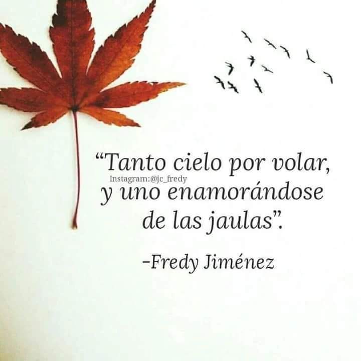 Muy cierto linda tarde ☺️