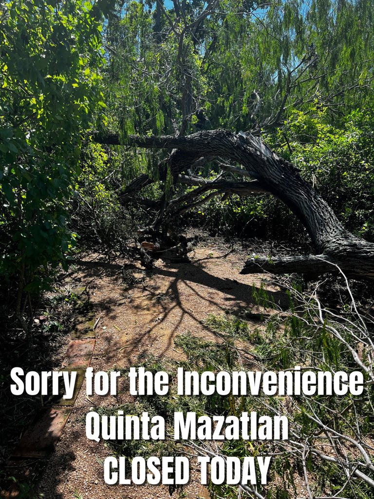 Due to Cleanup for Safety of Guests, Quinta Mazatlan is temporarily CLOSED.  Follow us on social media for updates. Stay safe!