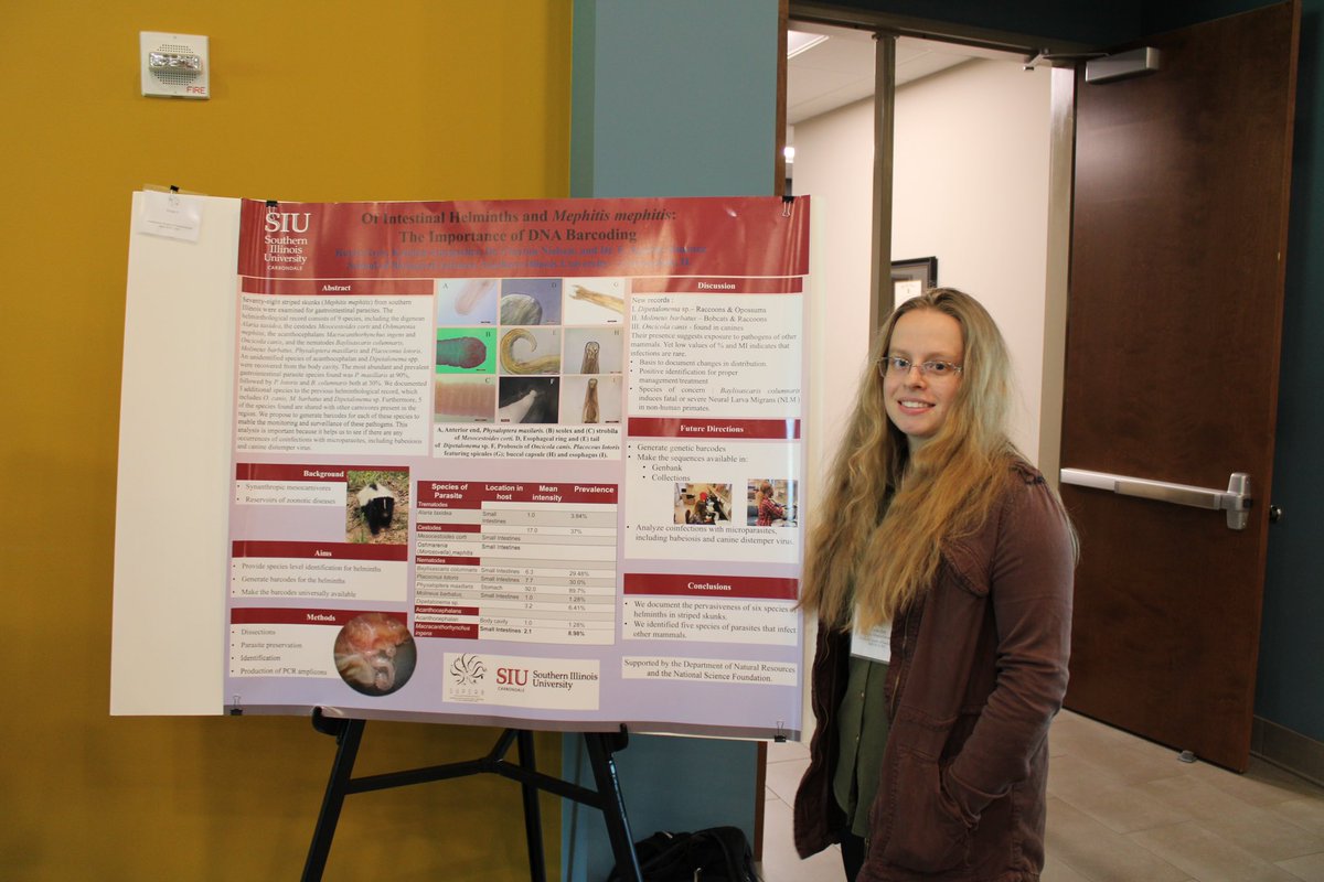 SESocParasit's tweet photo. We had an excellent student poster session this year at our annual meeting #SSP2023! #parasites #trematodes #amphibians #abomasalparasites #nematodes #piroplasms #blackbears https://t.co/NMDjxyN7Ls
