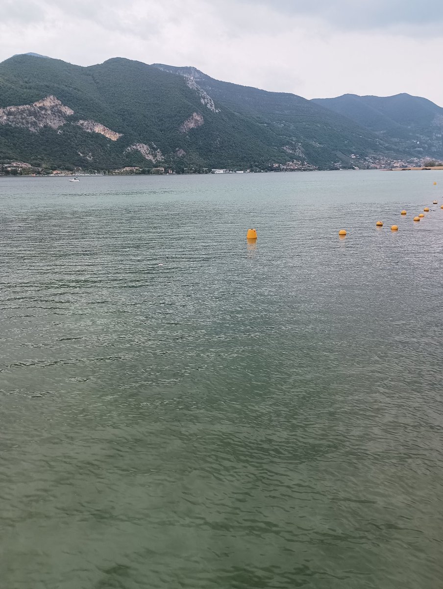 PaMeLa8681's tweet photo. Oggi il lago aveva dei colori stupendi 😍 #lagodiiseo #paratico https://t.co/DfjgoFPqOu
