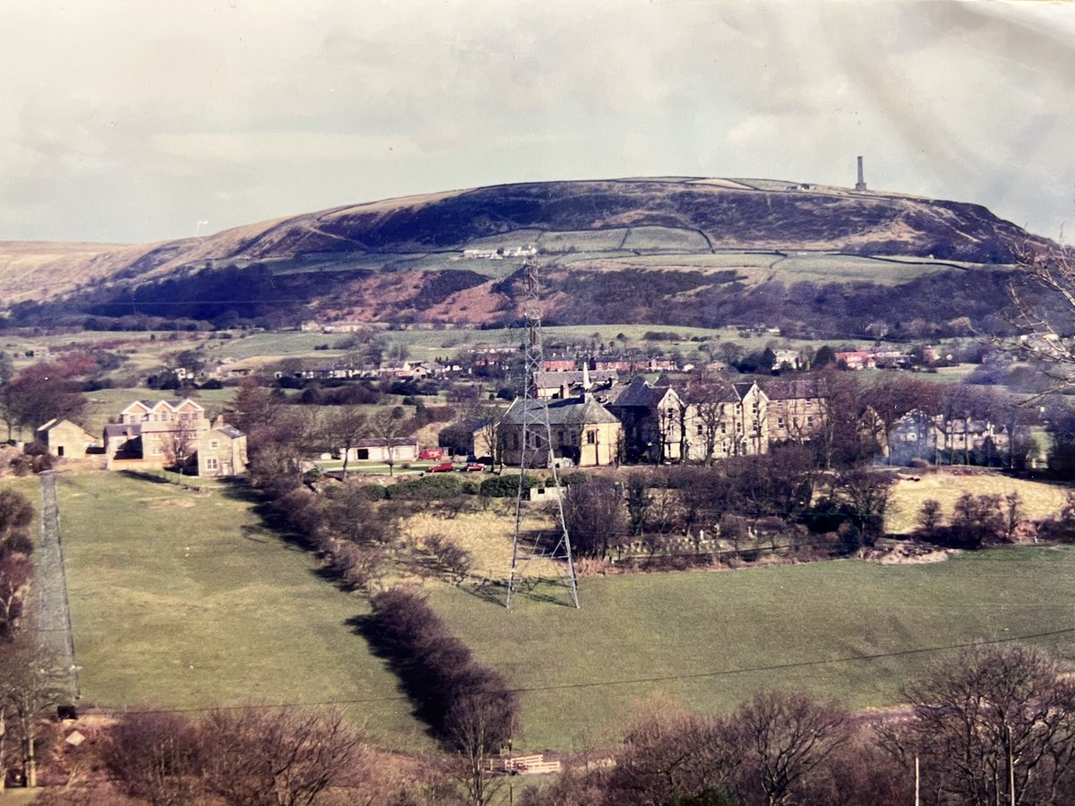 Holly Mount Orchard tweet media