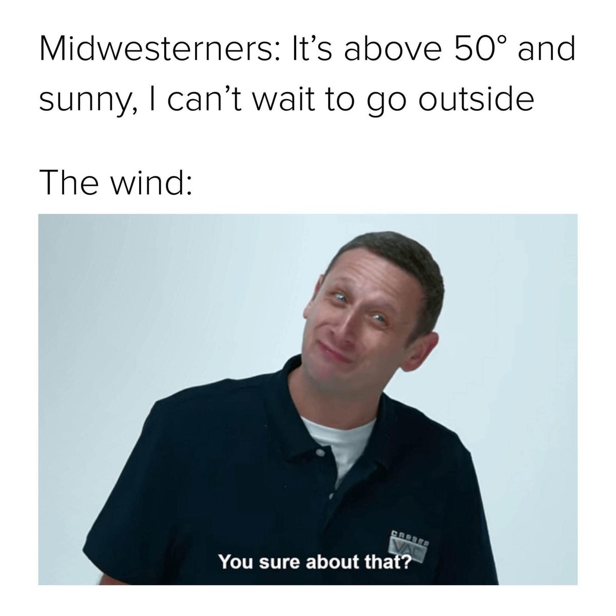 Everything Minnesota tweet media