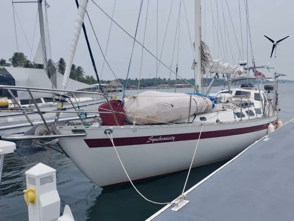 AMP El Salvador tweet media