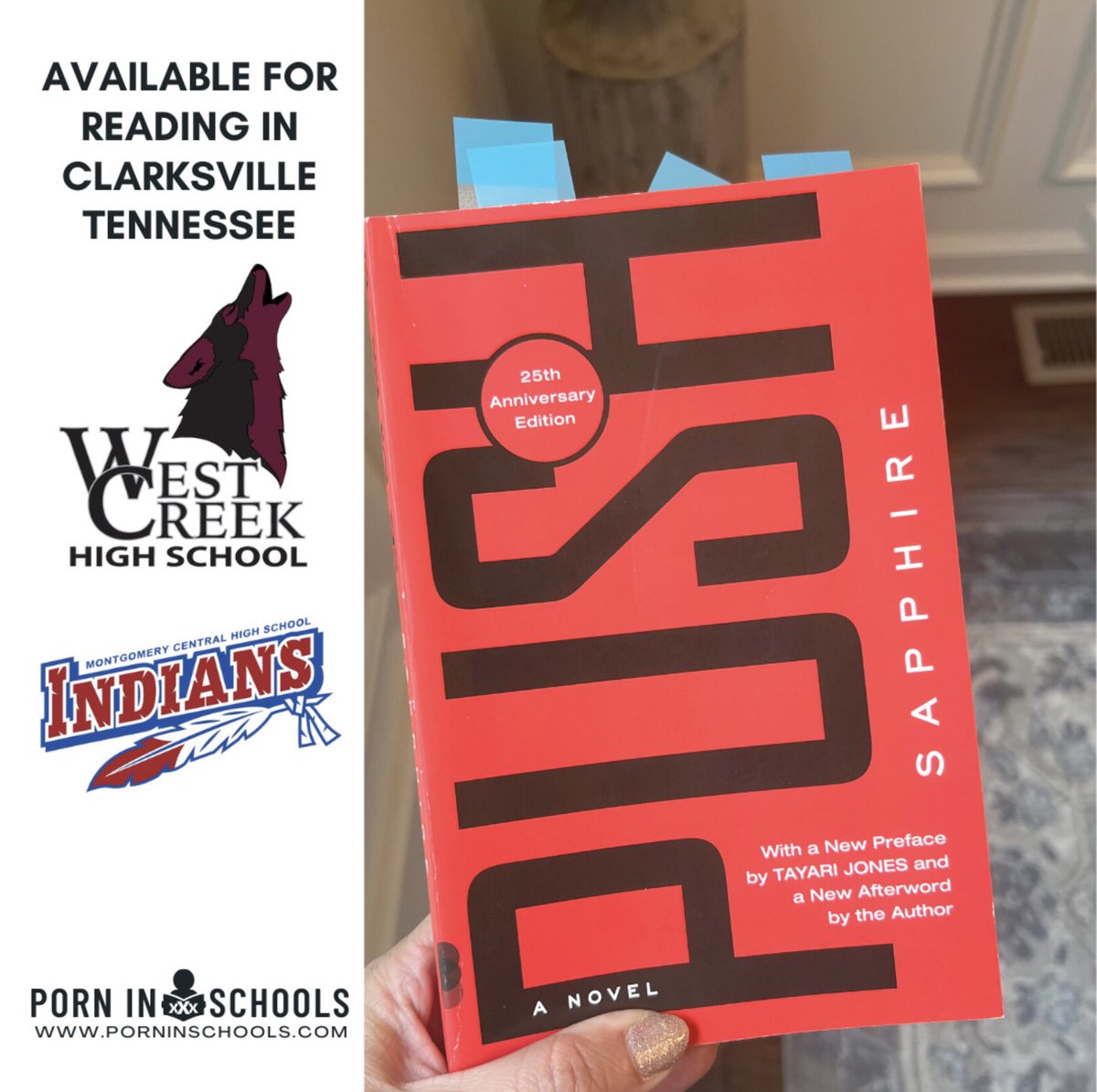 KarenEngland's tweet photo. WARNING: GRAPHIC 🧵 

PUSH is a novel which contains graphic descriptions of a girl having sex with her father and is on school library shelves. 

#porninschools #PUSH #BookCheck #BookCheckToolkit #kitchentableactivism https://t.co/NhCmJEE5T5