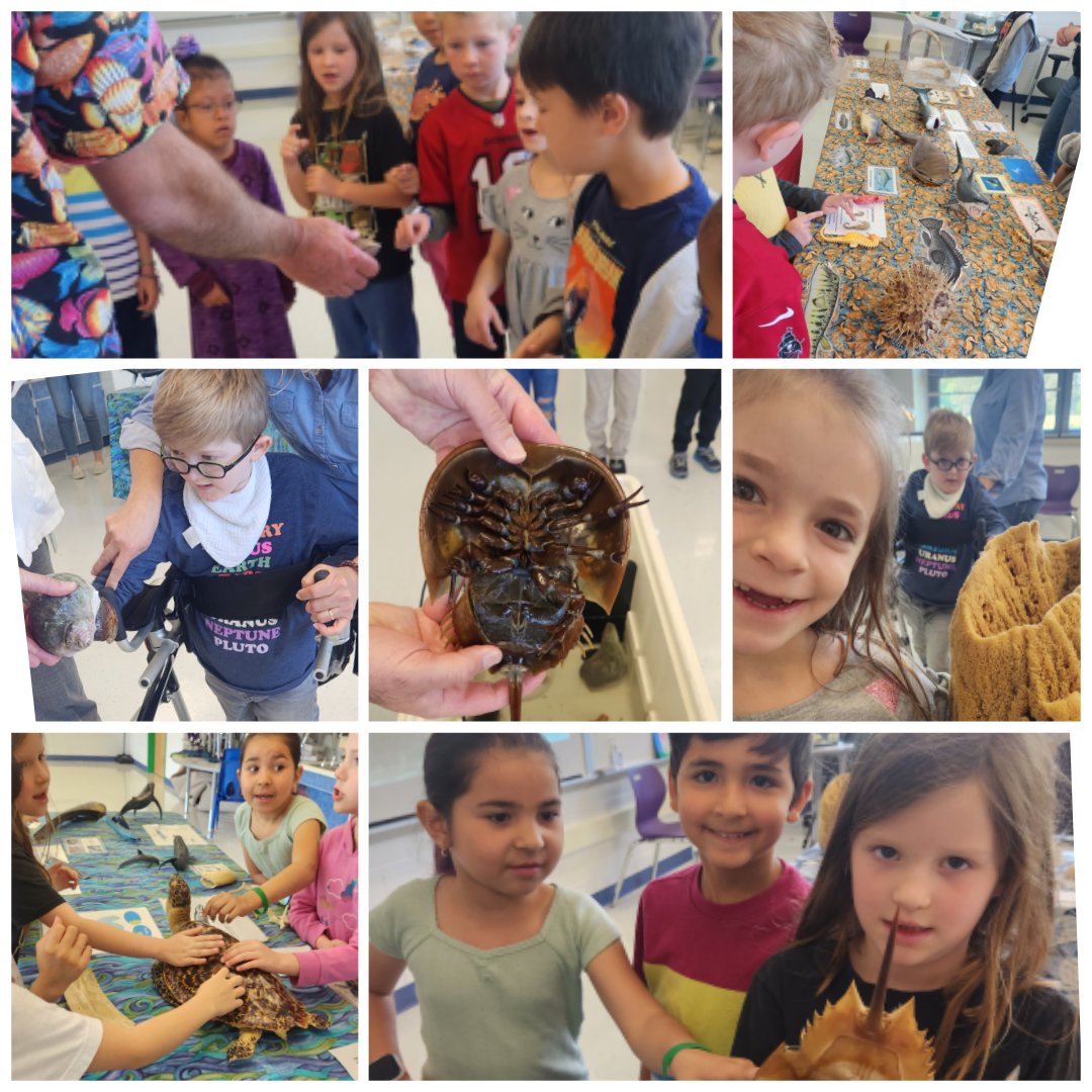 Christine Jarboe tweet media