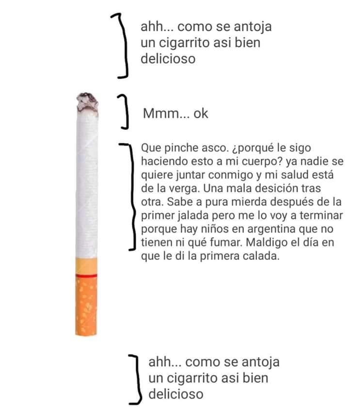 caro_ren1's tweet image. ‼️