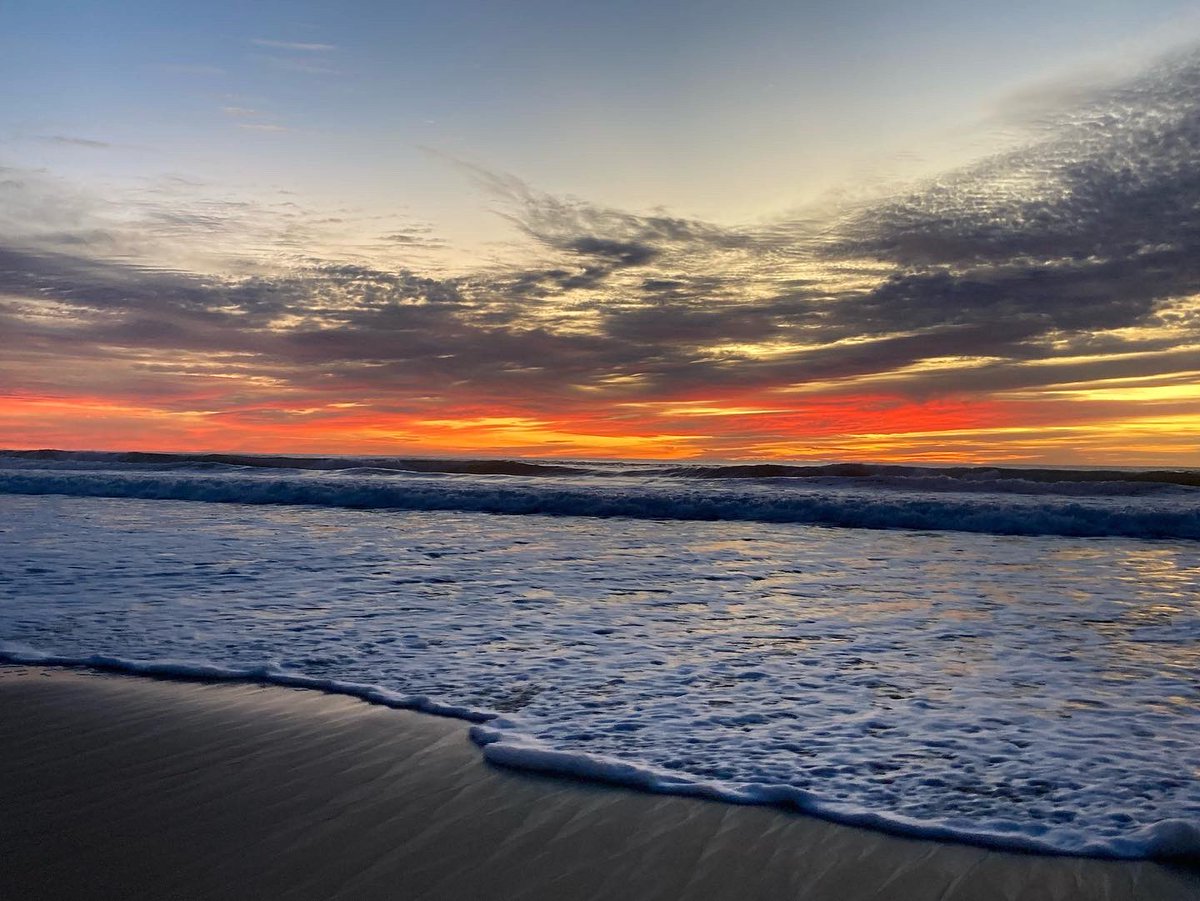 Corrine Barraclough tweet media