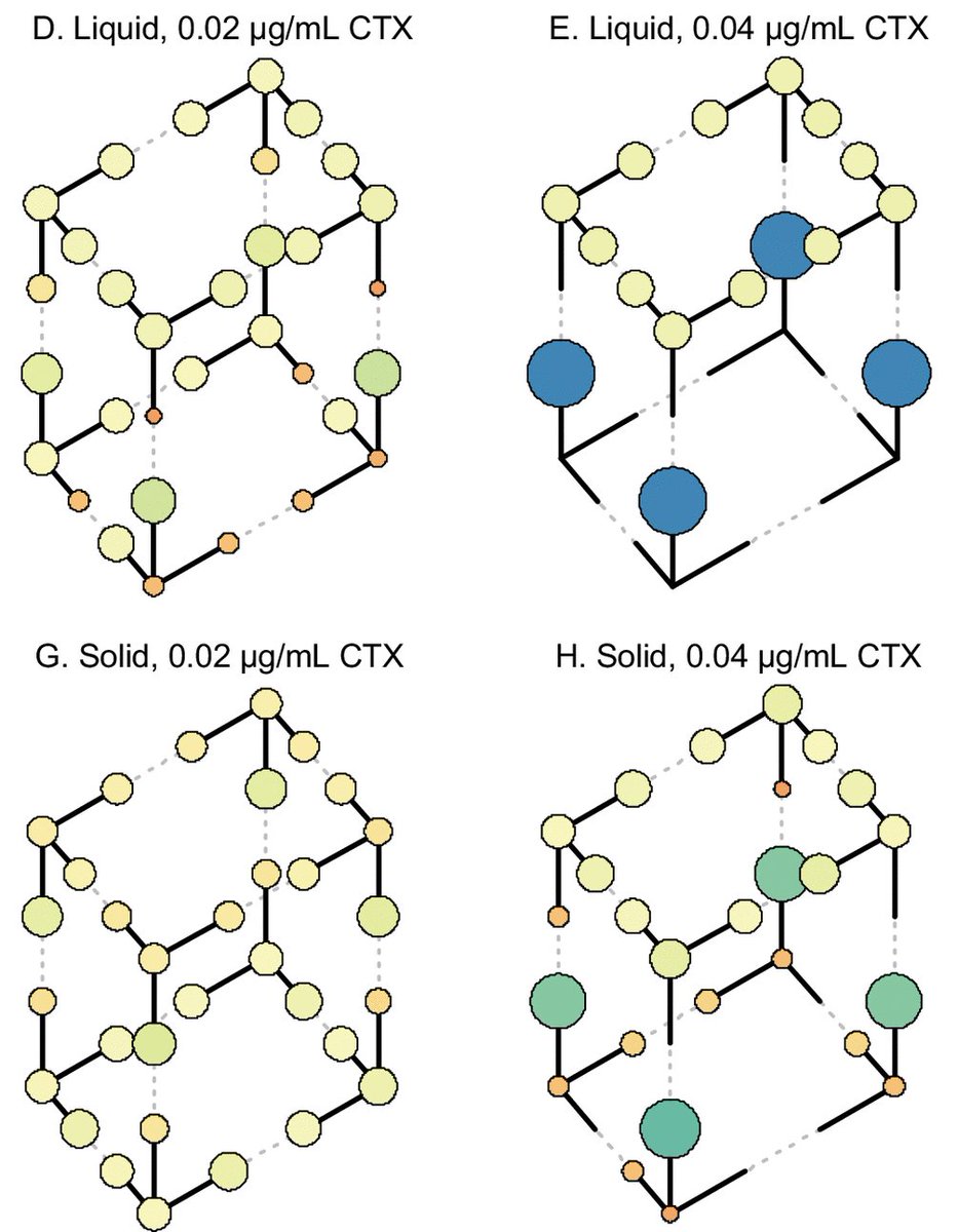 Lovely to see our study out in mBio!  journals.asm.org/doi/10.1128/mb… The short read : don't assume higher antibiotic resistance causes higher fitness in bacteria selected with sub-inhibitory antibiotics. With wonderful colleagues <a href="/diepesce/">Diego Pesce</a> <a href="/SumanGDas/">Suman Das</a> <a href="/Mark_P_Zwart/">Mark Zwart</a> and Arjan de Visser!