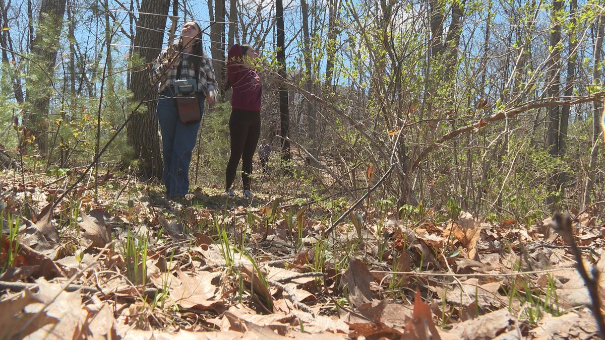 StackhouseNCME's tweet photo. Students at @unetweets are leading the way in studying one of Maine's most common animals, the gray squirrel. Tonight on @newscentermaine we're taking a closer look at #ProjectSquirrel and learning how students are tracking and analyzing these animals https://t.co/bqPtfLNPrb