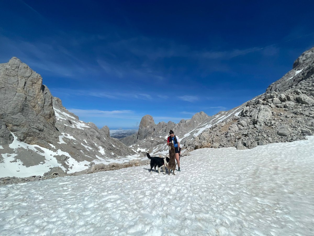 MariaRivas28's tweet photo. Cada día más enamorada de esto. ⛰️💚🏃🏽‍♀️ https://t.co/jQgn9y6JXd