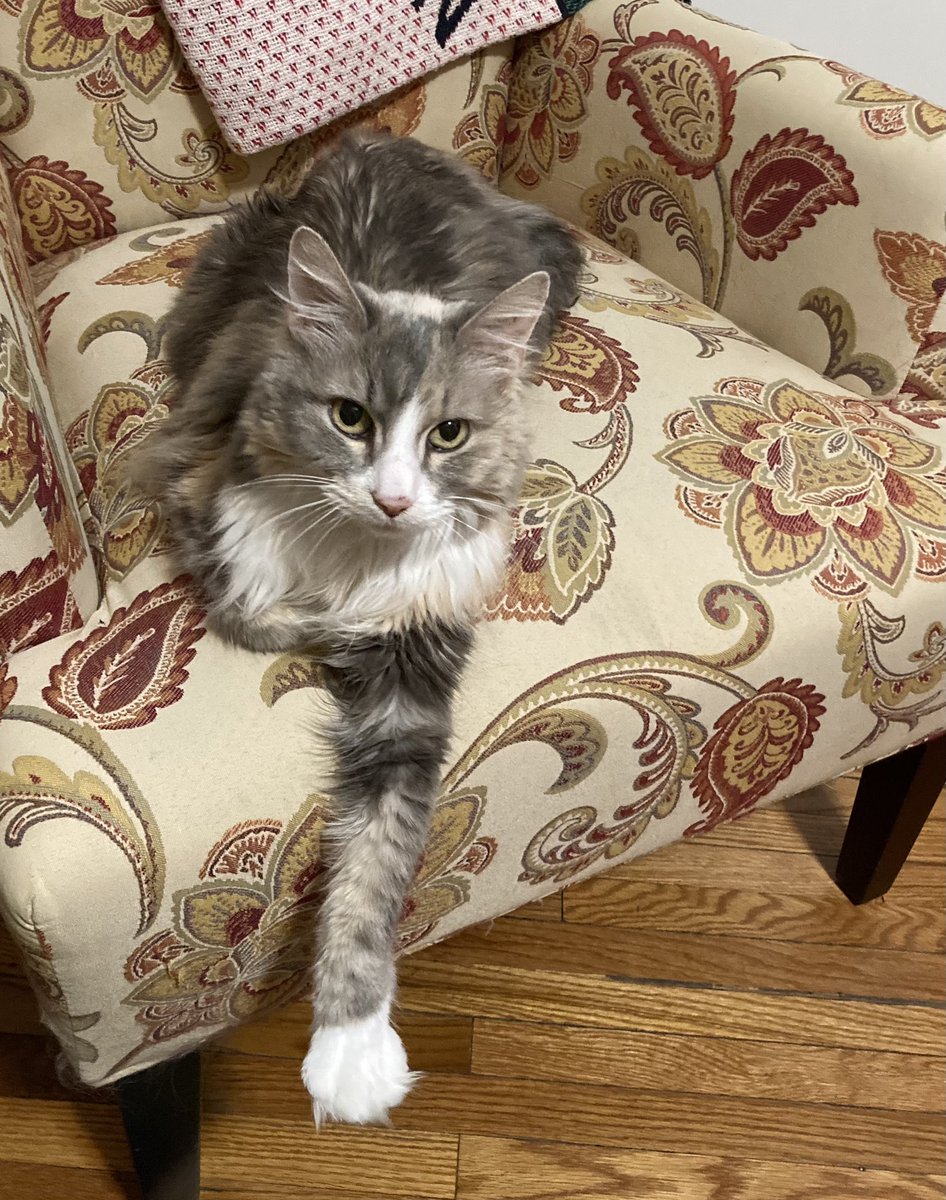 My coauthor thinks my paper needs more revisions.
