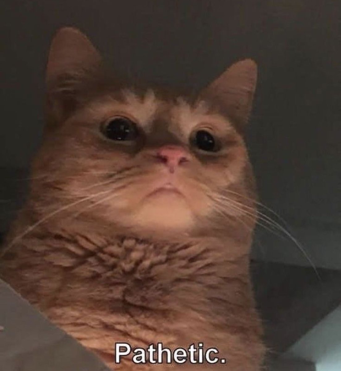 kapebeansies's tweet photo. https://t.co/LLU6Lu1x7J