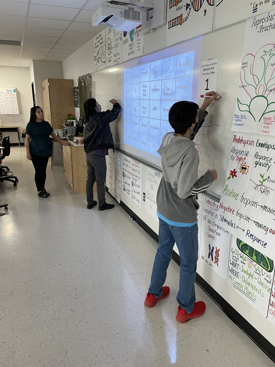 Mike Luera tweet media