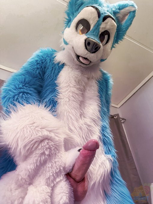☀️Sun&Berry - Northern Fløffs🔞 - Having a good start of the week? #murrsuitmonday #murrsuit #murrsuiting #furry https://t.co/irLTHIOKZQ