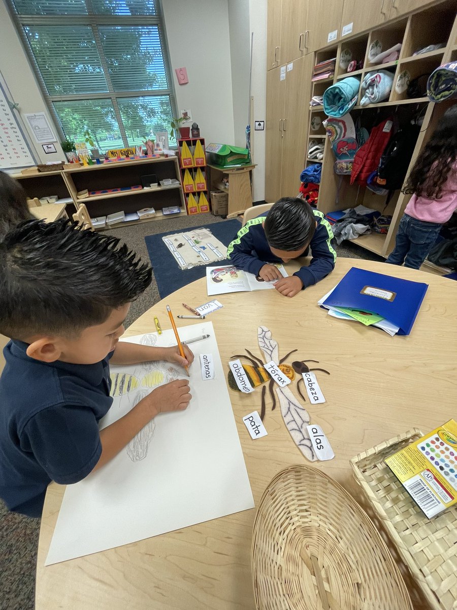 Parts of an insect-extension 🐝 #PK4