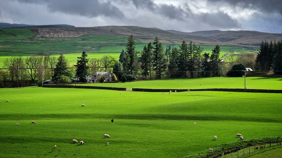 Caledonia Wanderer 🏴󠁧󠁢󠁳󠁣󠁴󠁿 🇺🇦 tweet media