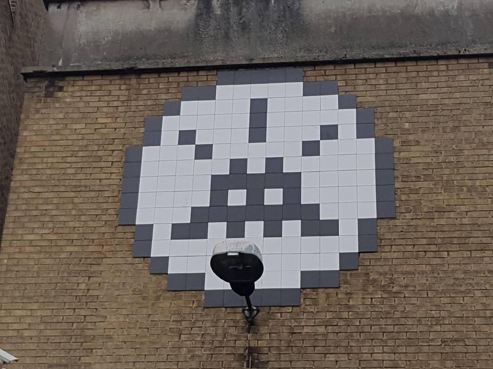 shaun davin tweet media