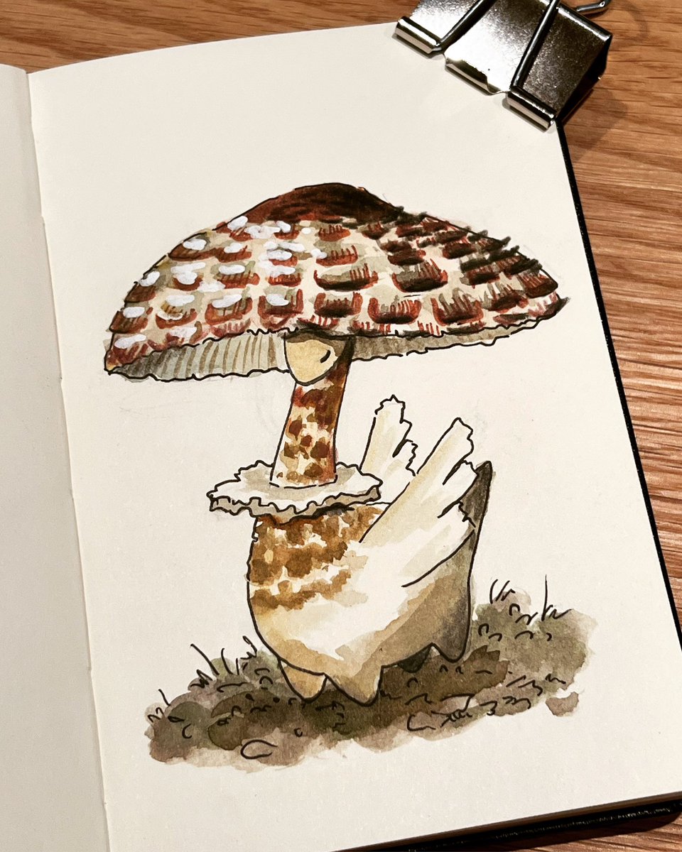 lizzywatercolor's tweet photo. Parasol dragon 🍄 ☂️ https://t.co/kRuNTsPzEJ