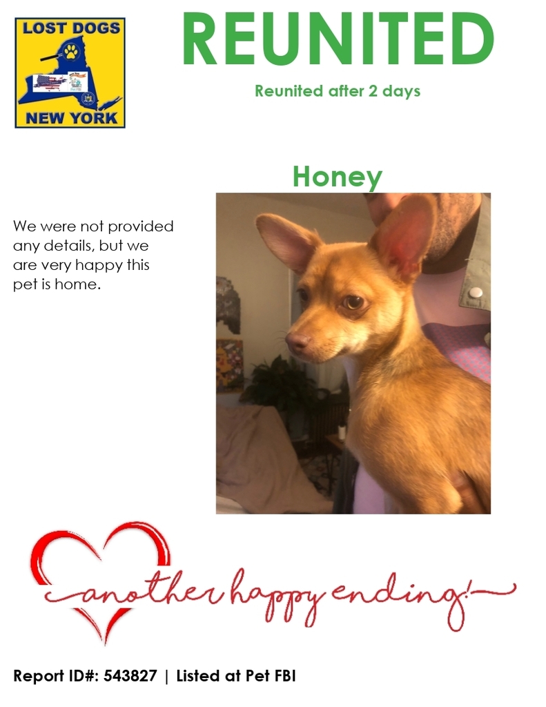#Honey is #reunited