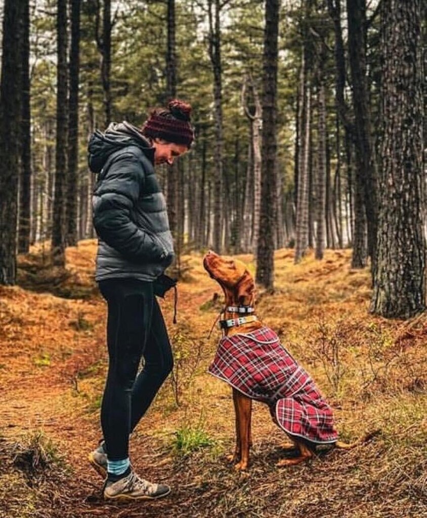 This is mind blowing to me. What Jess and I have achieved with Atlas and his owners shows the power of what two people with a unique approach to problem solving, and a passion for helping people, can achieve
===================
Atlas goes home : These la… instagr.am/p/CrttuMZMdup/