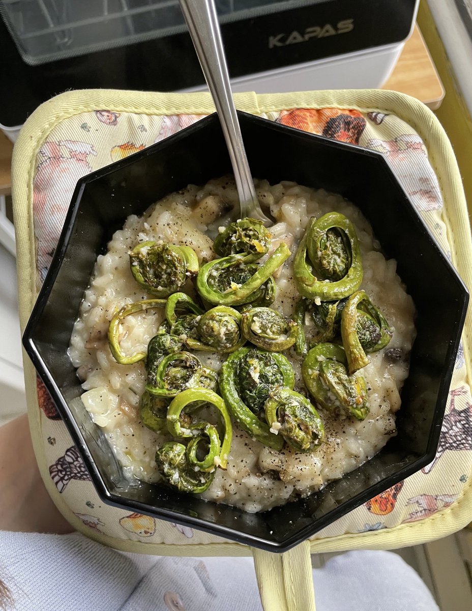 Gabrielle Drolet tweet media