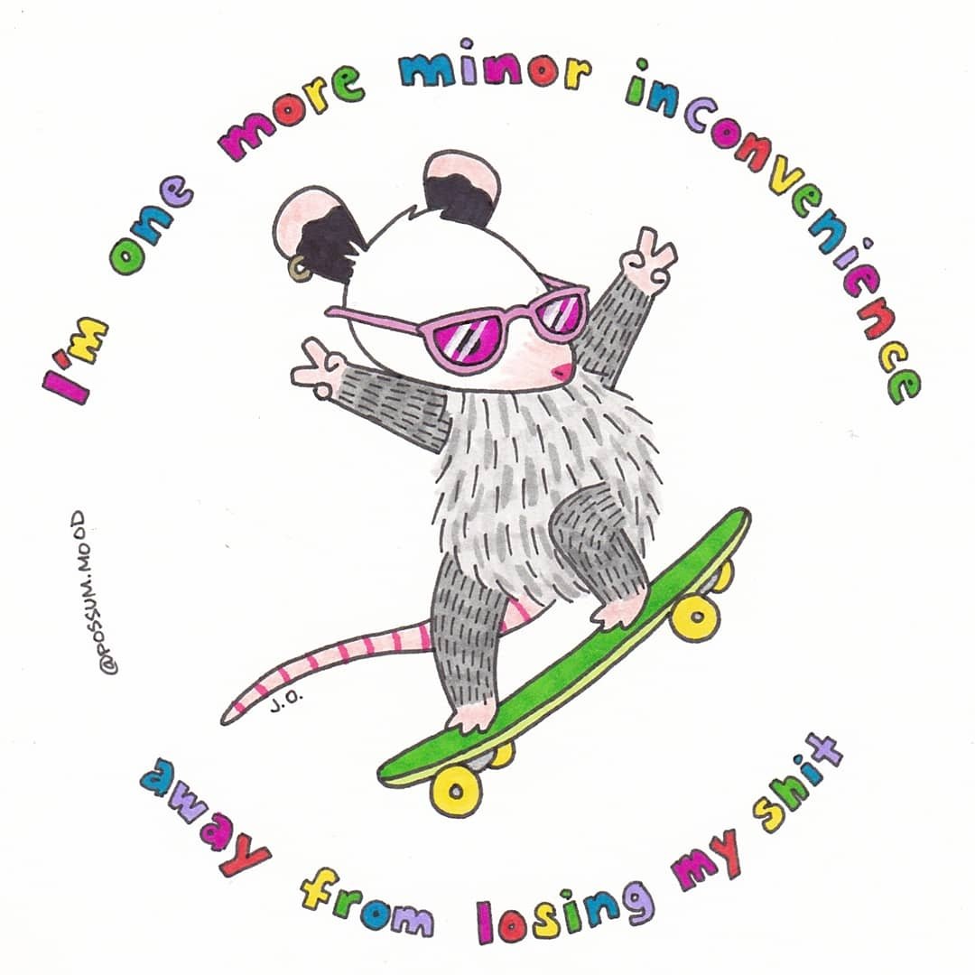 possum mood tweet media