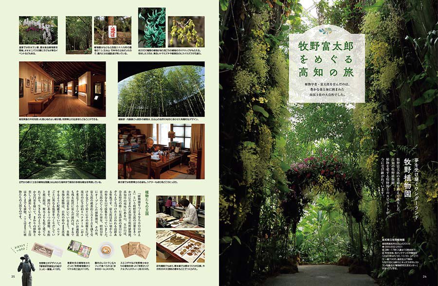 MOE_web's tweet photo. ＼本日発売／ 
MOE6月号「牧野富太郎 I LOVE ♡ 植物」#牧野富太郎 の美しい植物図や植物標本をたっぷりご紹介。博士の熱い植物愛をぜひ感じてください（表紙は牧野植物園でつくられた現代の標本です） 巻頭インタビューは神木隆之介さん。#朝ドラらんまん 5周目の見どころも。https://t.co/8kOxJjTjNt https://t.co/RvGB7IXjKH