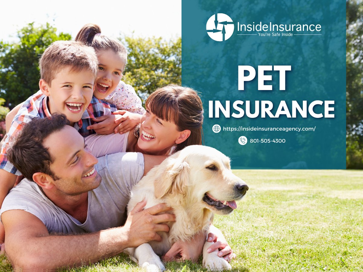 InsideInsSJ's tweet image. Protect your furry friend with the best! With our pet insurance plans, you can have peace of mind knowing that your pet is covered in case of an unexpected illness or injury. Get a free quote today at insins.cc/pet 

#PetProtection #PetHealth #InsideInsurance