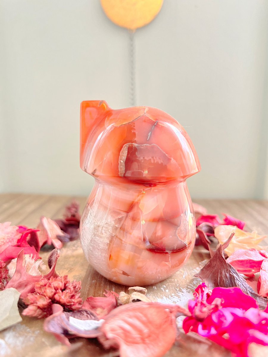 Annabtlouise's tweet photo. The most heavy, lux, high-quality🍄🧚 CARNELIAN FAIRY COTTAGE🧚🍄 is available from this past weekends update 🌿🌿

This beauty has gorgeous color variation and tons of Quartz! Can we find it a home today?

https://t.co/YKjo4TVmPN comes with a gift &amp; same/next day ship!🤍🫶🏼 https://t.co/0E6g9etHMk