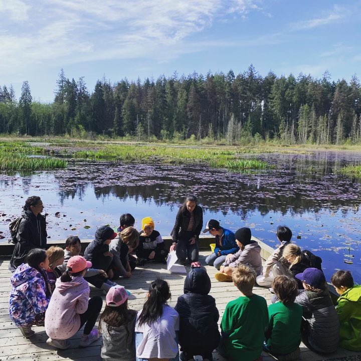 christineeboyle's tweet photo. A magical morning releasing salmon babies in #StanleyPark with local Grade 3s.
These kids have been raising salmon from eggs, learning about lifecycles, ecosystems, & traditional Indigenous knowledge.
#PublicEducation is amazing. Teachers & school staff are heroes. #BCEd #VanEd https://t.co/S6l1SdHUyi