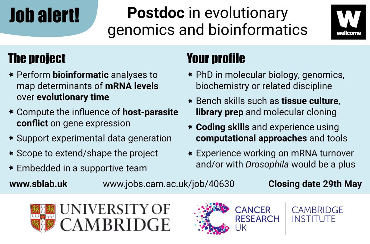 Susanne Bornelöv tweet media