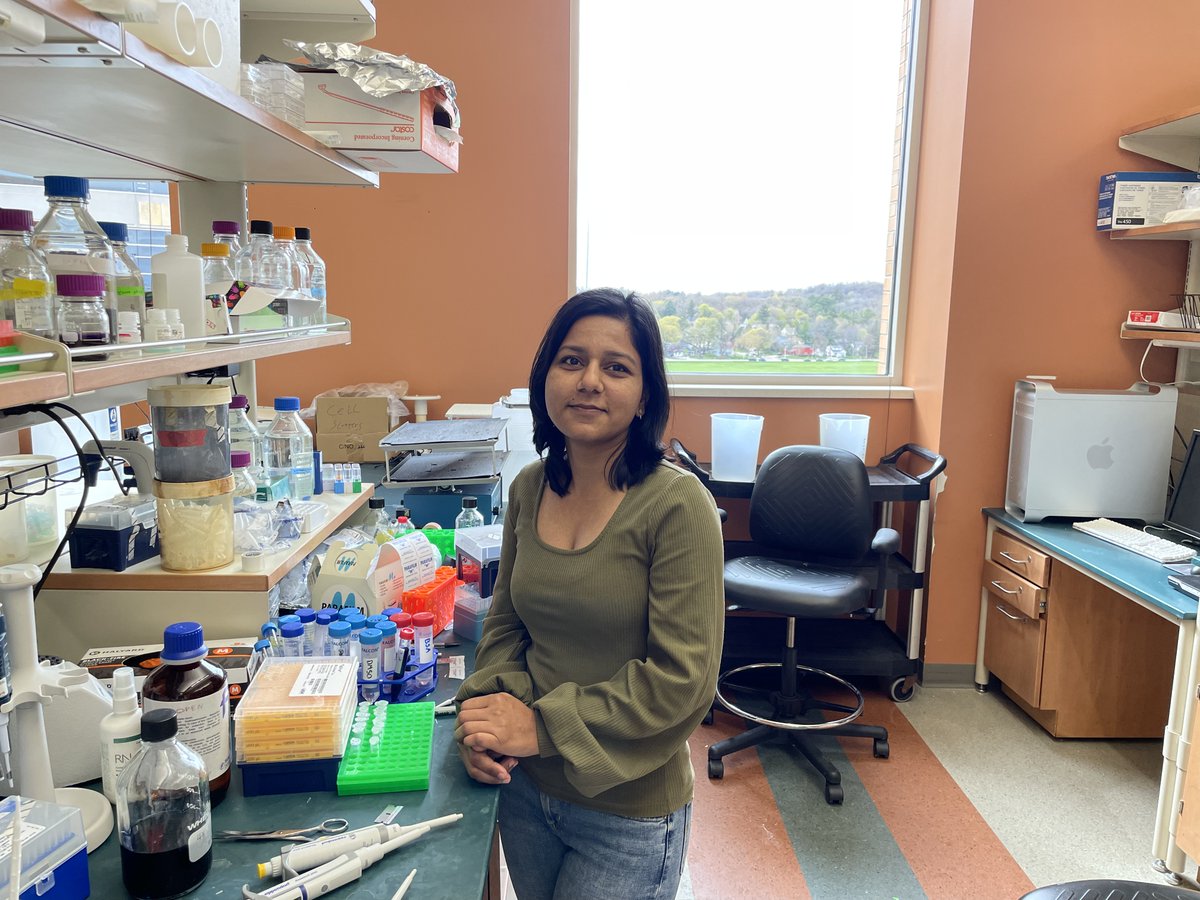3rd Messenger Lab (@3rdmessengerlab) on Twitter photo Introducing the newest 3rd Messenger, <a href="/poorwa12/">Poorwa</a>! We are very excited about all the amazing science we'll get to do together <a href="/UWMadison/">UW–Madison</a> <a href="/VincentCrynsMD/">Vincent Cryns</a> <a href="/RichardAAnders5/">Richard A. Anderson</a>. Welcome to Wisconsin, Poorwa! Introducing the newest 3rd Messenger, <a href="/poorwa12/">Poorwa</a>! We are very excited about all the amazing science we'll get to do together <a href="/UWMadison/">UW–Madison</a> <a href="/VincentCrynsMD/">Vincent Cryns</a> <a href="/RichardAAnders5/">Richard A. Anderson</a>. Welcome to Wisconsin, Poorwa!