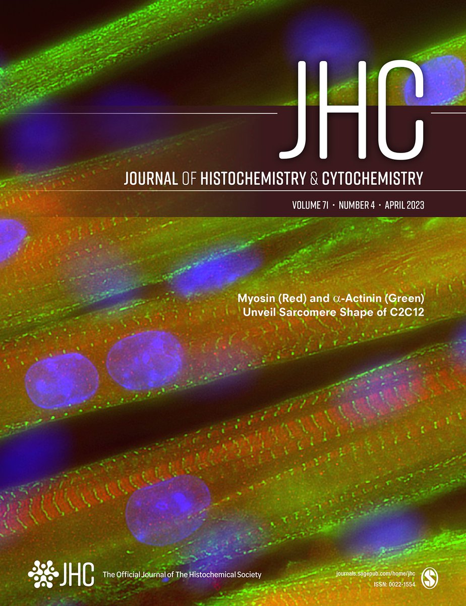 JHCnews's tweet photo. The new issue of JHC is now available online!
Check out the latest articles at https://t.co/F1yh4pvhtp
#Science #Histochemistry #Cytochemistry https://t.co/K2SLgzf4r8