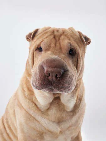 " On me donne 35 ans..." 🙄 #etsionserencontrait