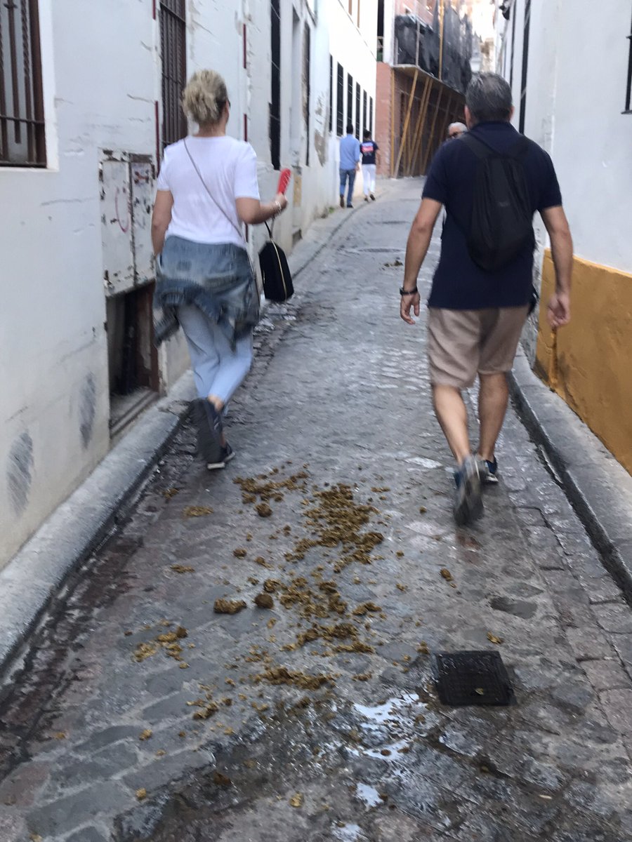 patibrava's tweet photo. @sadecocordoba @jmbellidoroche 
¿Cuando se va a resolver el problema diario de los desechos dejados por los carros de caballo cerca de la puerta de Almodóvar? Los residentes y turistas merecen una calle limpia y segura, afecta a la  imagen de la ciudad. https://t.co/XofcF0piJj