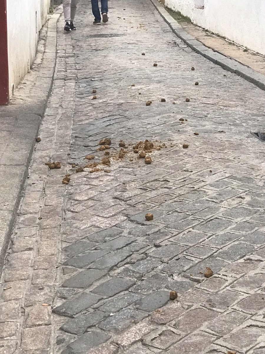 patibrava's tweet photo. @sadecocordoba @jmbellidoroche 
¿Cuando se va a resolver el problema diario de los desechos dejados por los carros de caballo cerca de la puerta de Almodóvar? Los residentes y turistas merecen una calle limpia y segura, afecta a la  imagen de la ciudad. https://t.co/XofcF0piJj