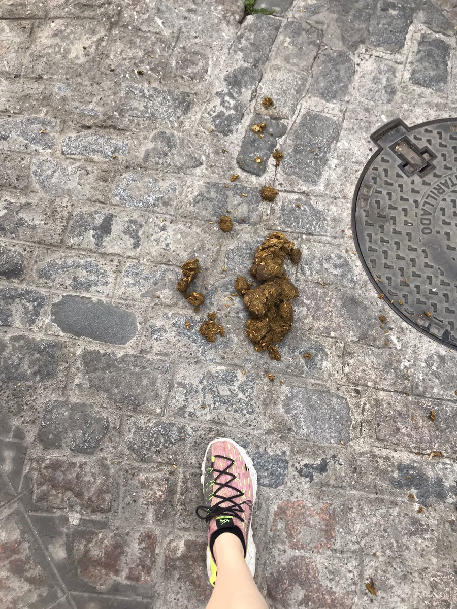 patibrava's tweet photo. @sadecocordoba @jmbellidoroche 
¿Cuando se va a resolver el problema diario de los desechos dejados por los carros de caballo cerca de la puerta de Almodóvar? Los residentes y turistas merecen una calle limpia y segura, afecta a la  imagen de la ciudad. https://t.co/XofcF0piJj