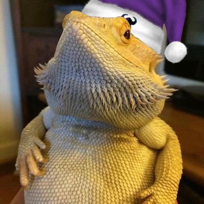 Rynobono's tweet photo. @SFShock https://t.co/z2Ru3FJtmo