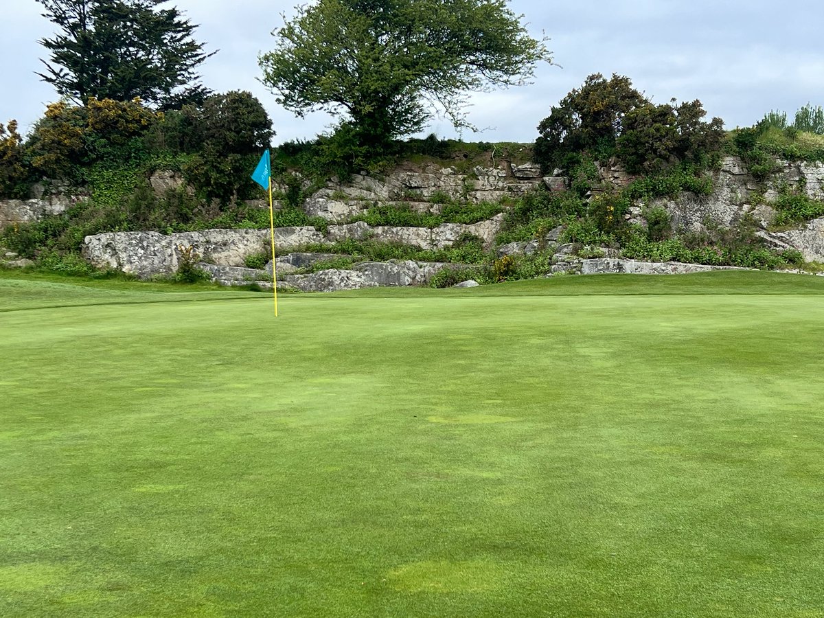 Irish Amateur golf info on Twitter "Bank holiday weekend done right A
